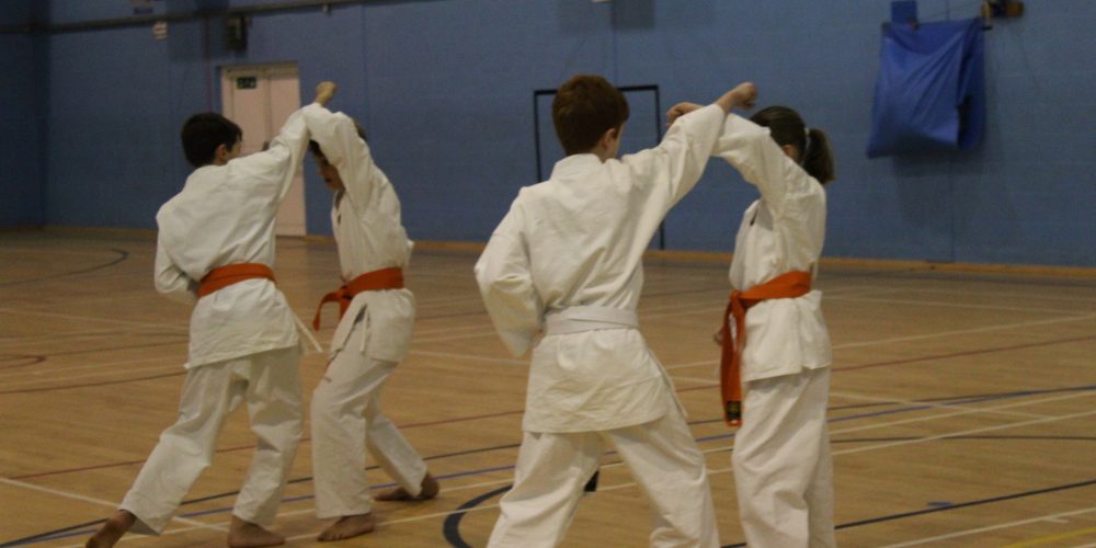 Legacy Karate Grading