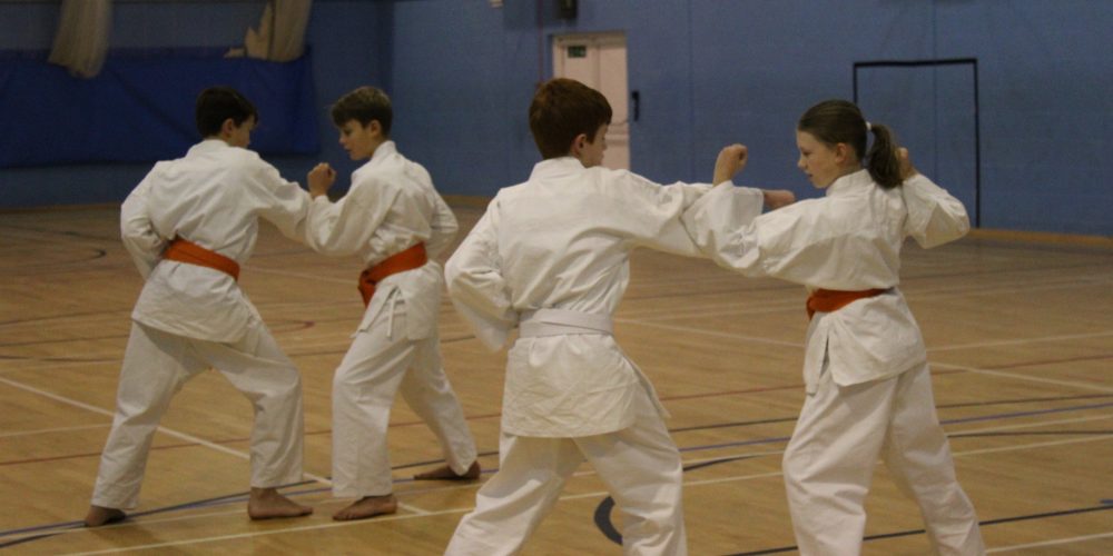 Legacy Karate Grading