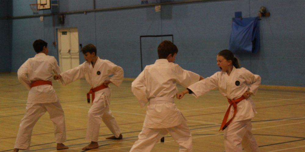 Legacy Karate Grading