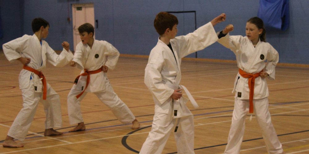 Legacy Karate Grading