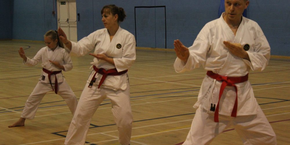 Legacy Karate Grading