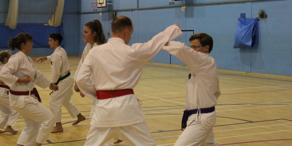 Legacy Karate Grading