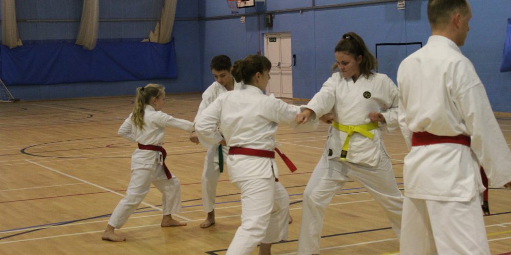 Legacy Karate Grading