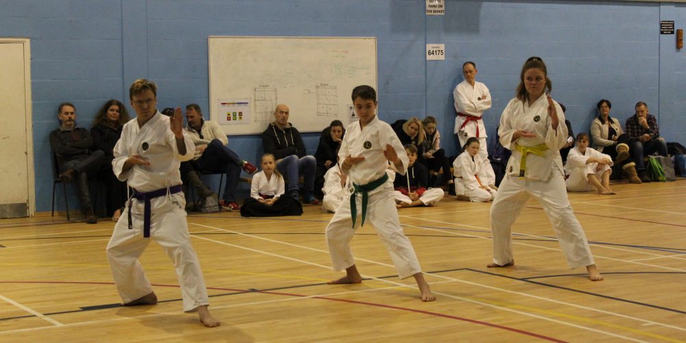 Legacy Karate Grading