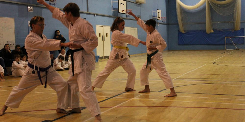 Legacy Karate Grading